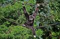 Zoo Schmiding 002